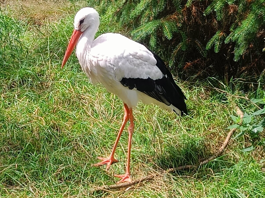 Blåvand Zoo-Blaavand必去景点