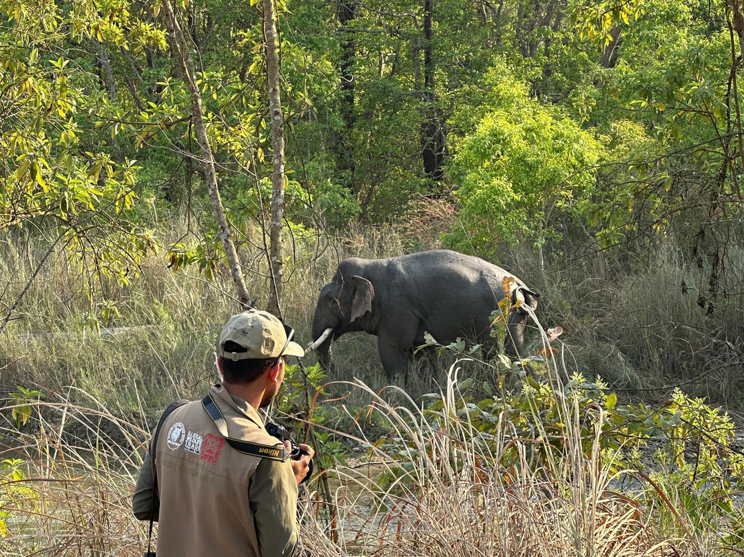 Nepalganj-Kosi Zone必去景点