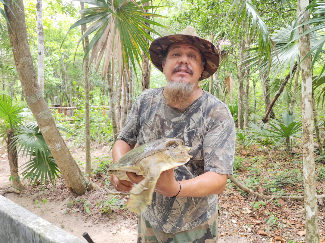 Toolok kaa'n-从莫雷洛斯港必去景点