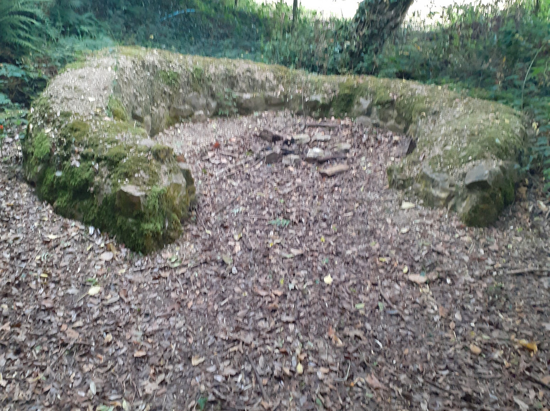 Monkton Wyld Court主图