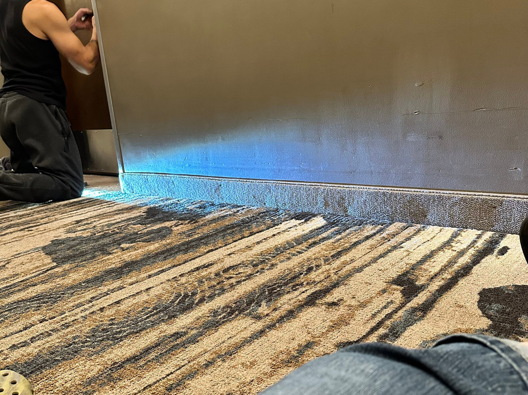 Best Western Plus Lacey Inn & Suites主图