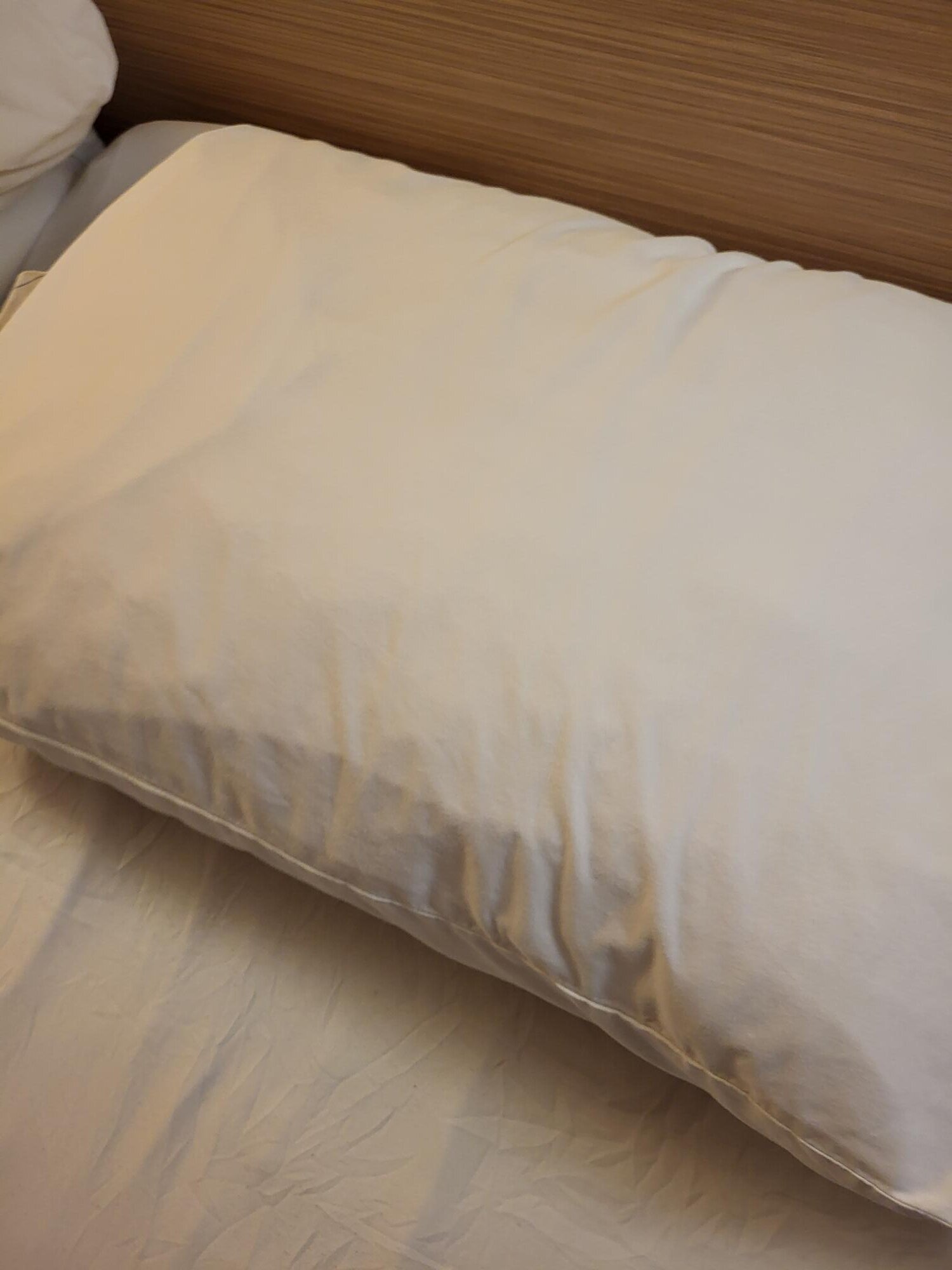 Premiere Classe Macon-客卧