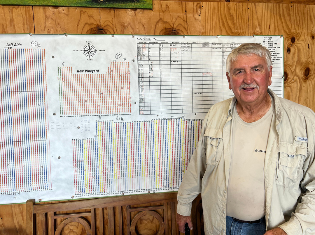 Tsali Notch Vineyard-Madisonville必去景点