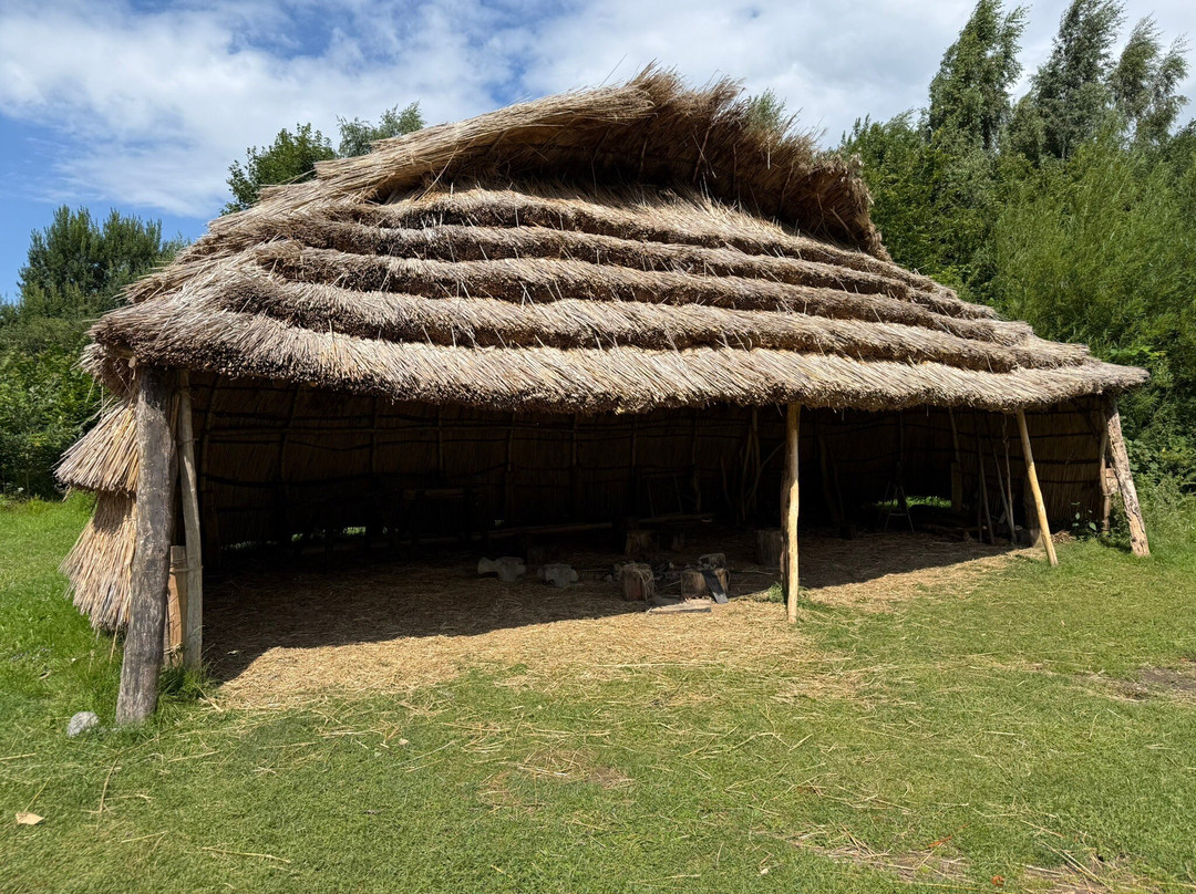 Steinzeitpark Dithmarschen-Albersdorf必去景点
