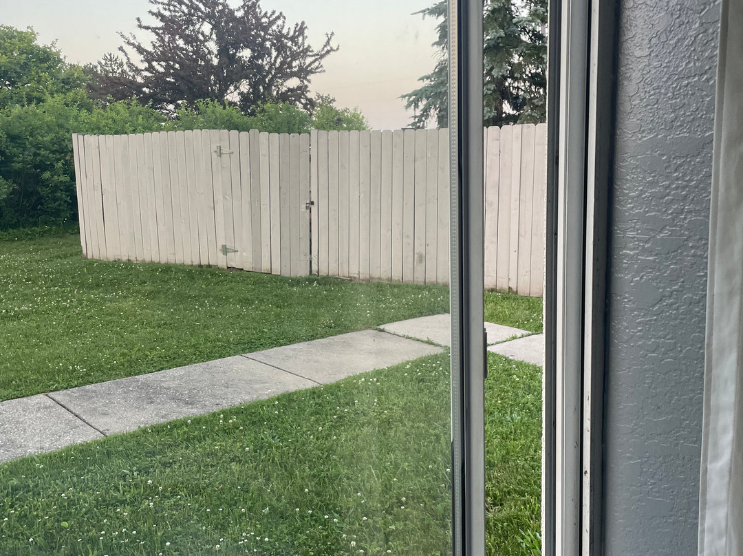 Best Western Plus Flint Airport Inn & Suites主图