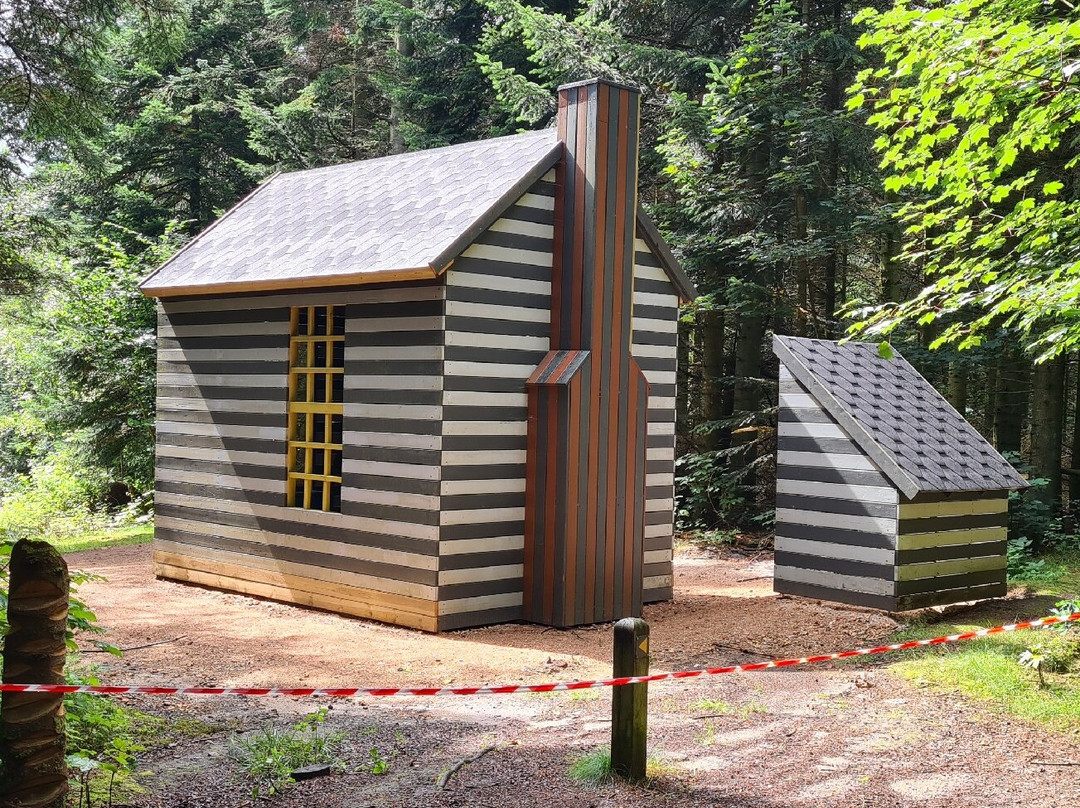 Deep Forest Art Land-奇贝克必去景点