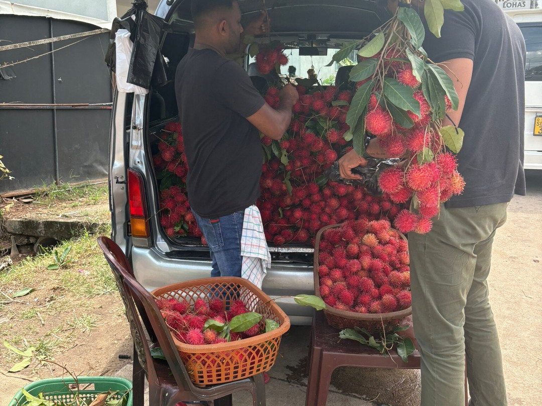 Sri Lanka Escape-Eheliyagoda必去景点