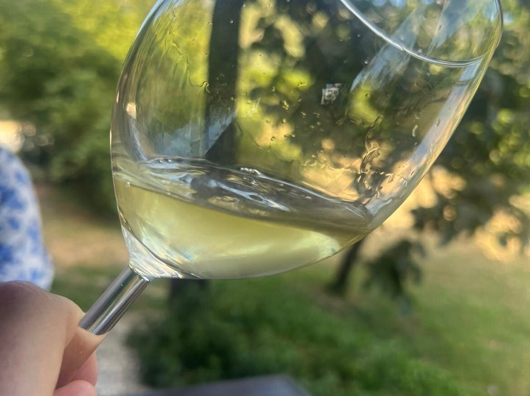 Fattoria San Vito-Calci必去景点