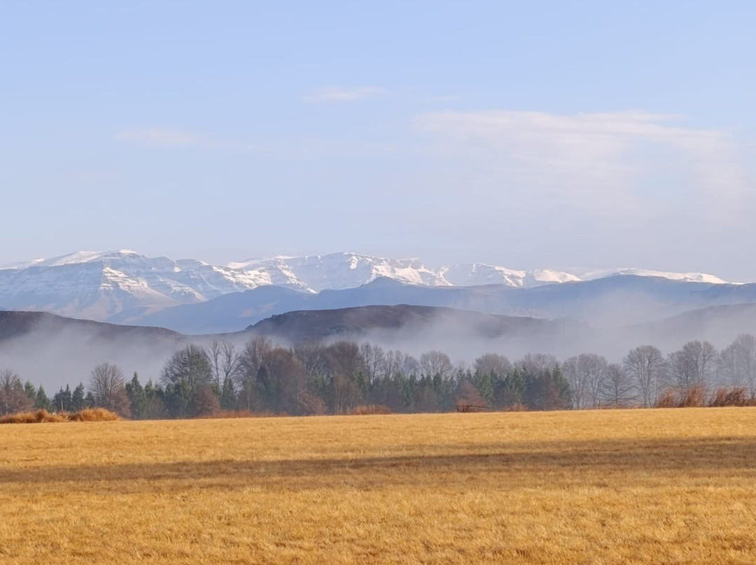 KarMichael Farm Guesthouse主图