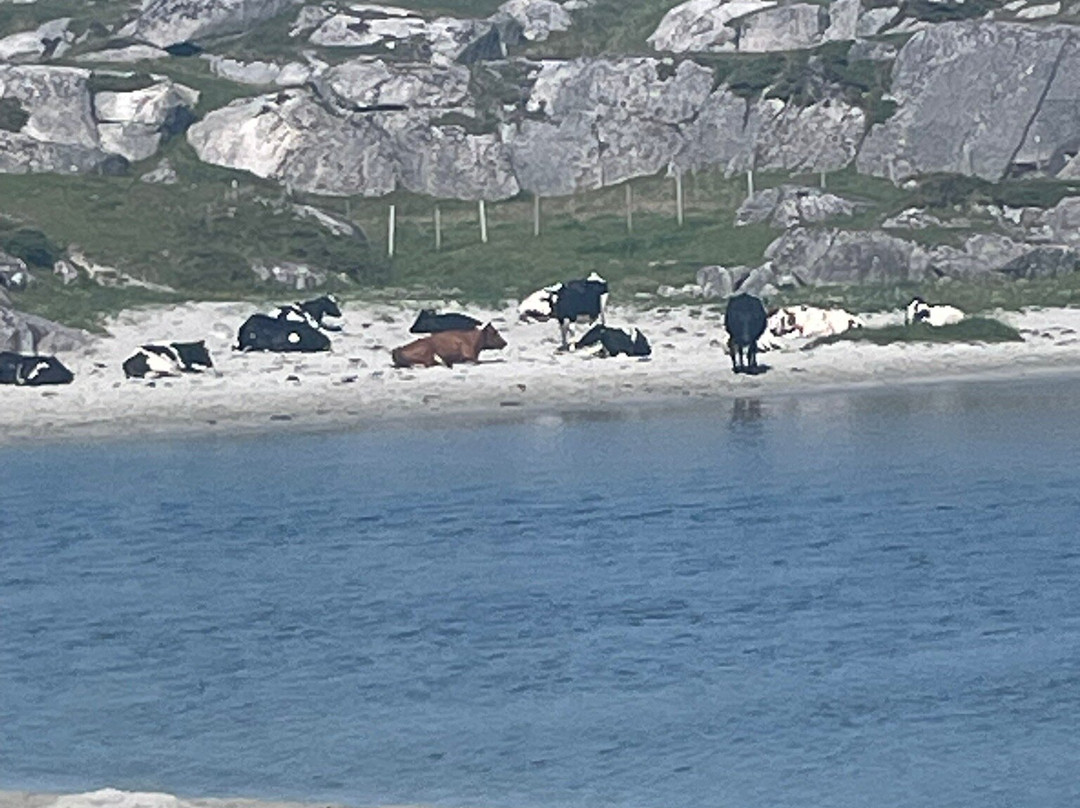 Ogna Beach-Ogna必去景点