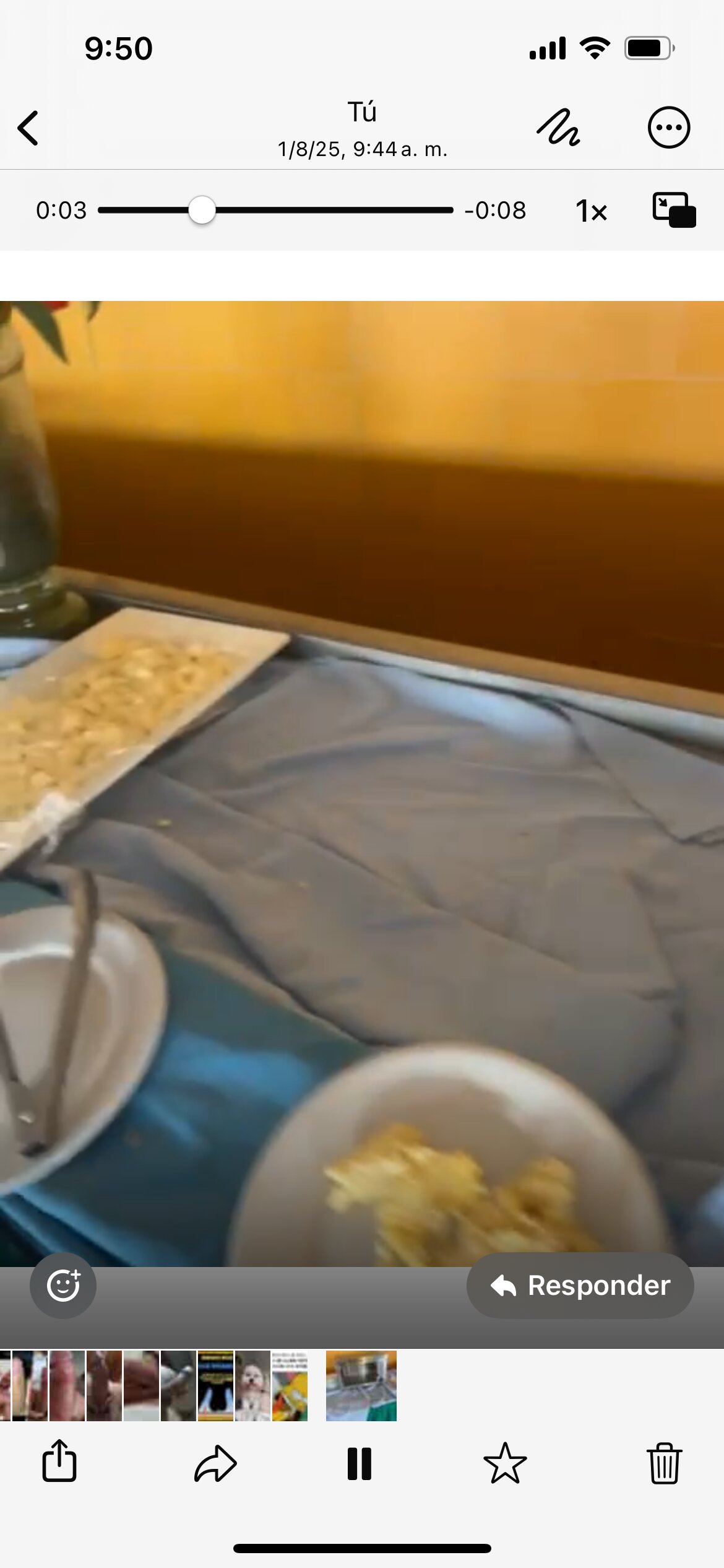 Punta Palma Hotel-官方