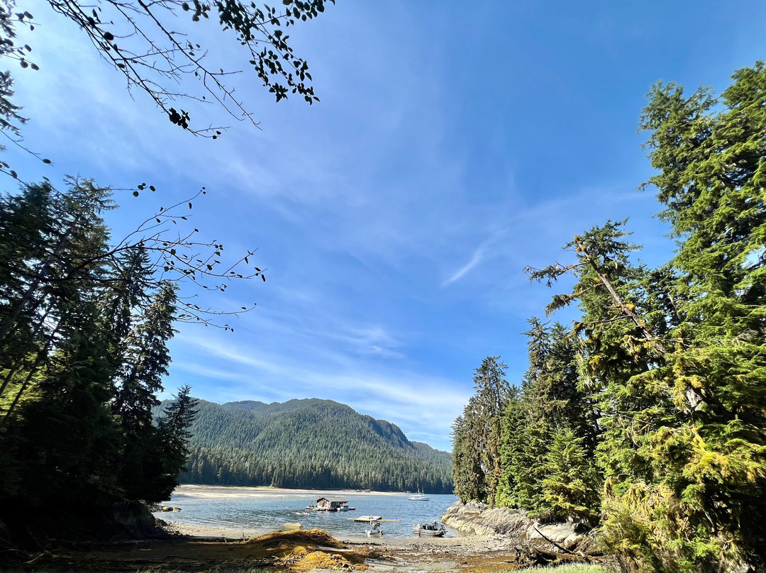 Anan Creek Bear Observatory-Wrangell必去景点