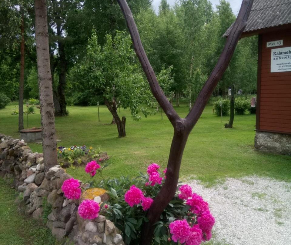 Kalamehe Farmstay