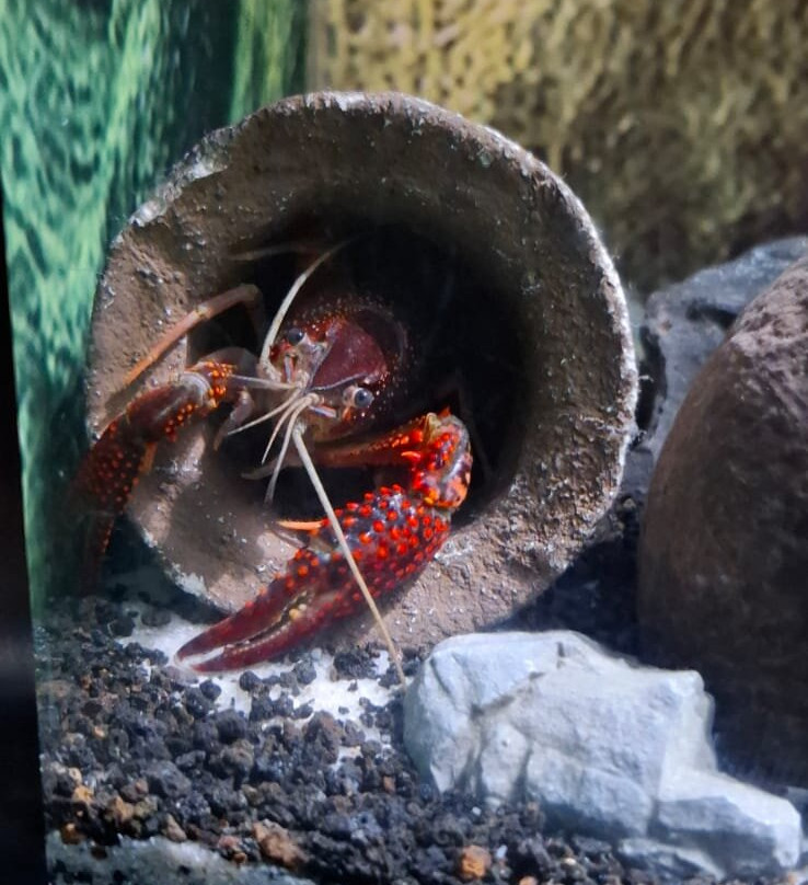 Acuario Michin Puebla-普埃布拉必去景点