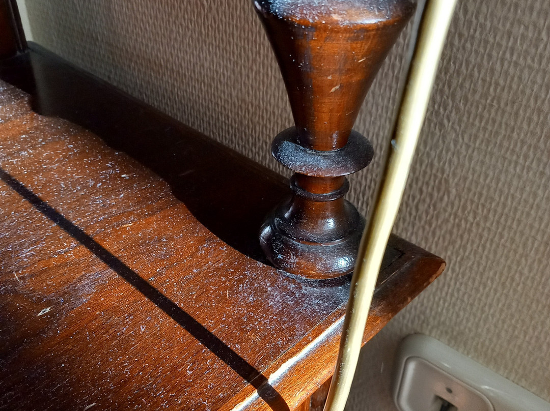 潘诺尼亚酒店主图