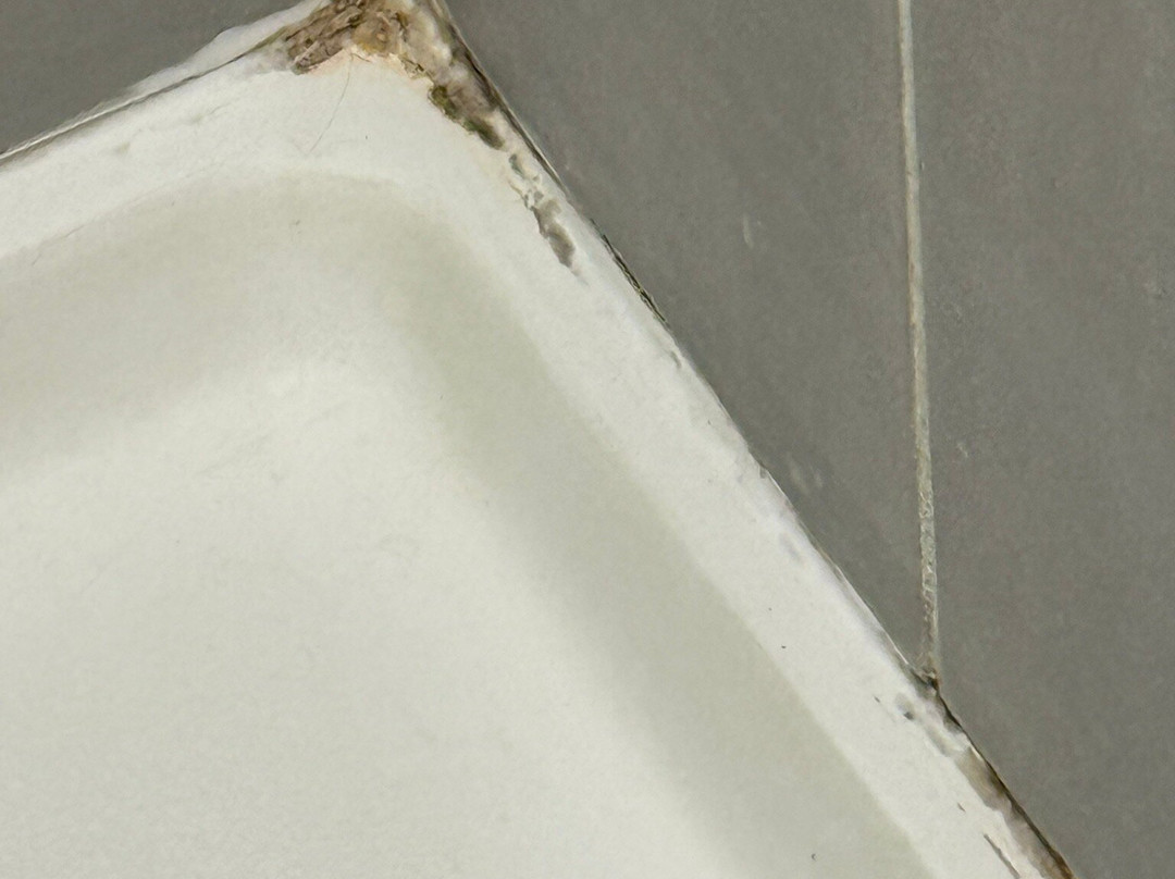 奥尔巴尼万豪酒店主图