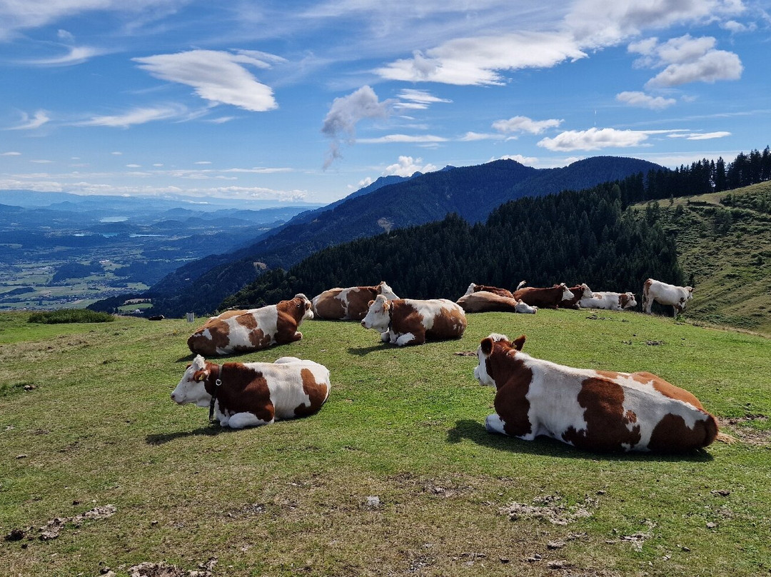 Dreiländer-Wanderweg-Arnoldstein必去景点