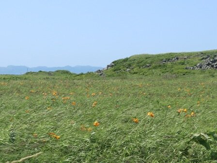 Fujinienchi Park-利尻富士町必去景点