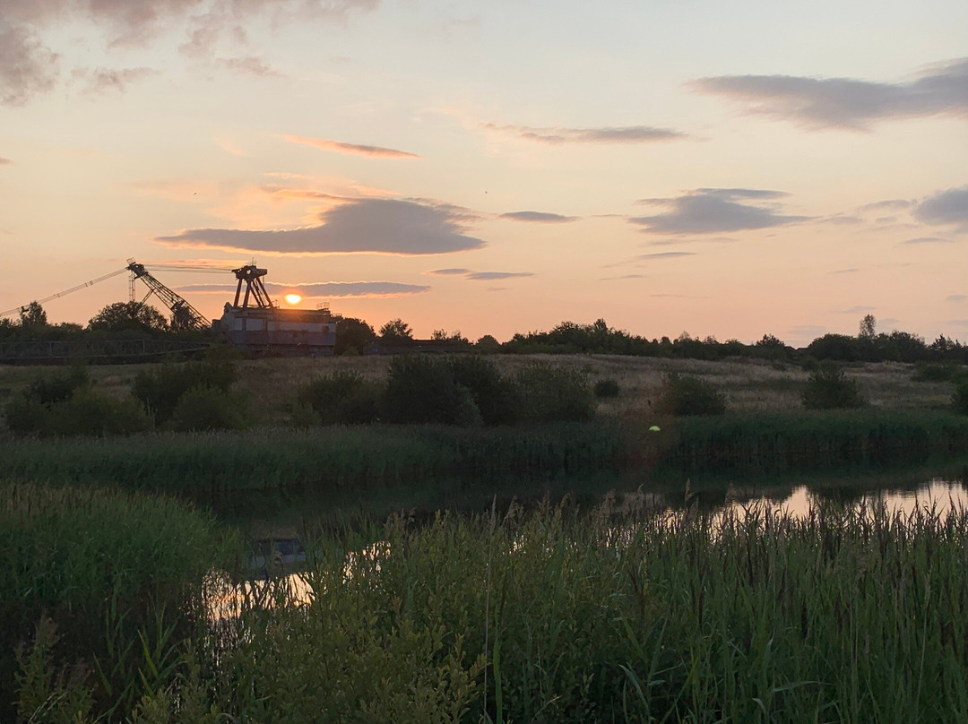 RSPB St Aidan's nature park-利兹必去景点