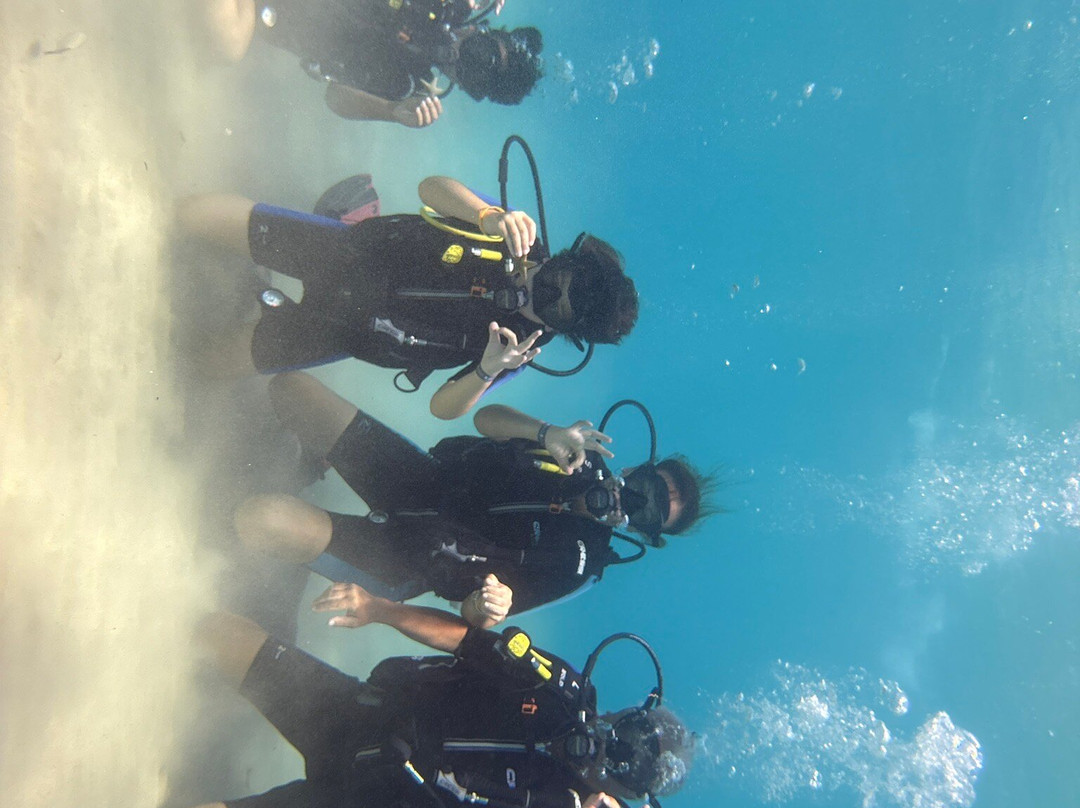 ProgettoSub 5 Star PADI Resort-Geremeas必去景点