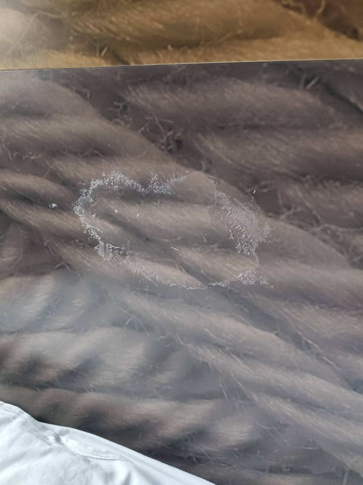 宜必思圣布里克菲尼亚克酒店-客卧