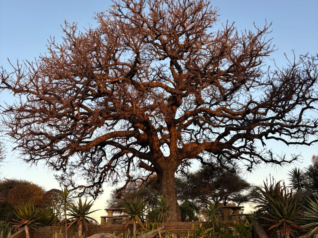 Summerset Place Country House主图