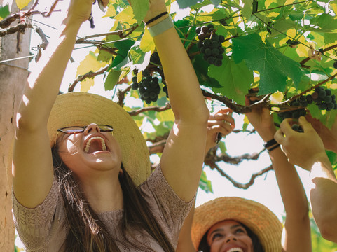 Vinhedo Lacustre-Lago Norte必去景点