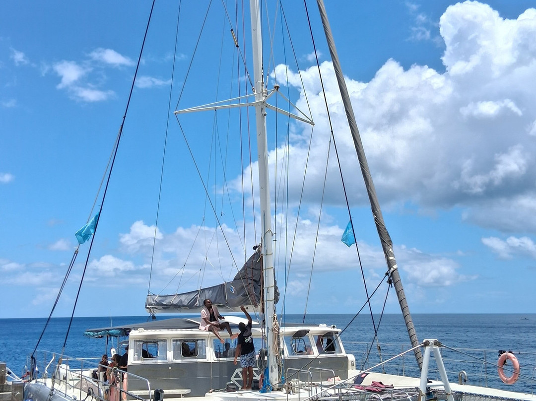 Diamond Rock-Trois-Ilets必去景点