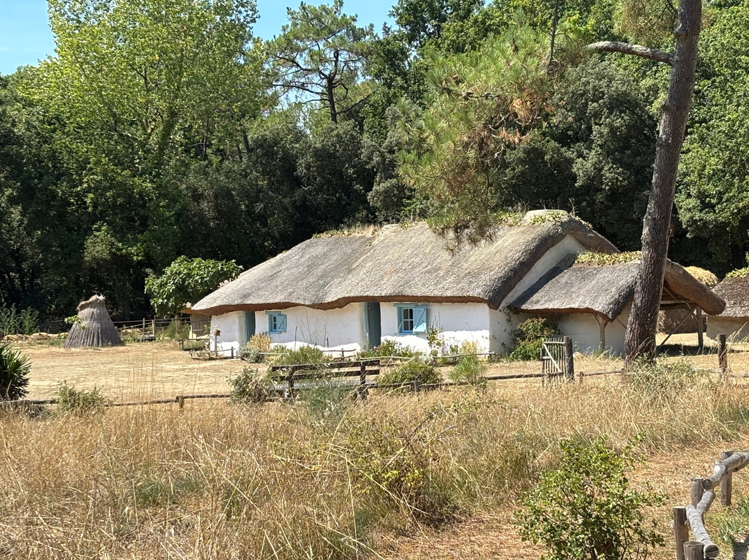 Bourrine du Bois Juquaud-Saint-Hilaire-de-Riez必去景点