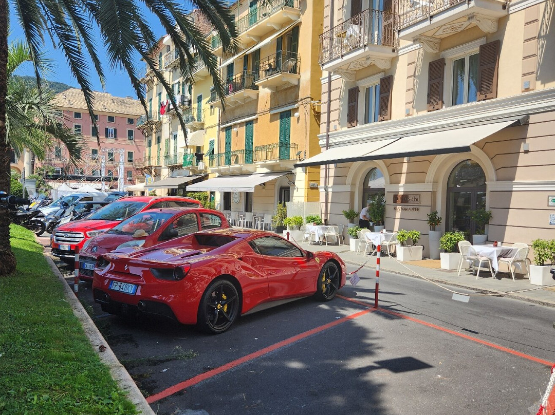 Hotel San Pietro Palace主图