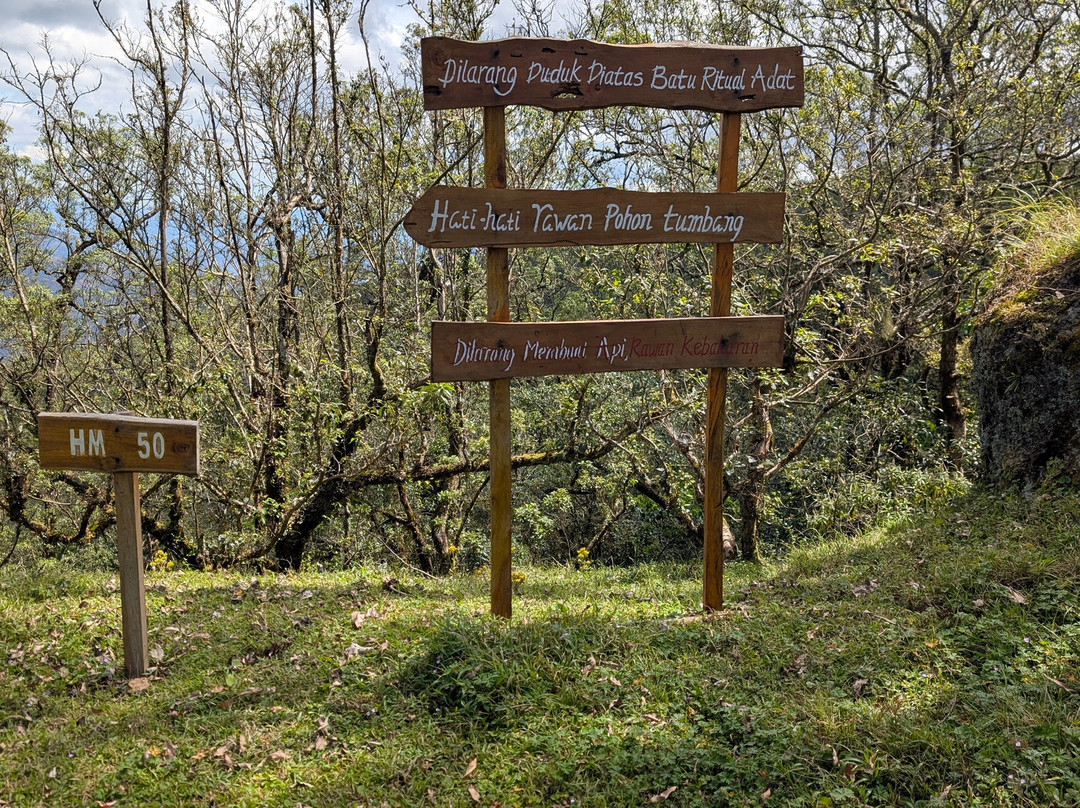 Gunung Mutis Natural Reserve-Soe必去景点