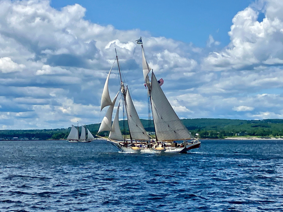 Windjammer Angelique-卡姆登必去景点