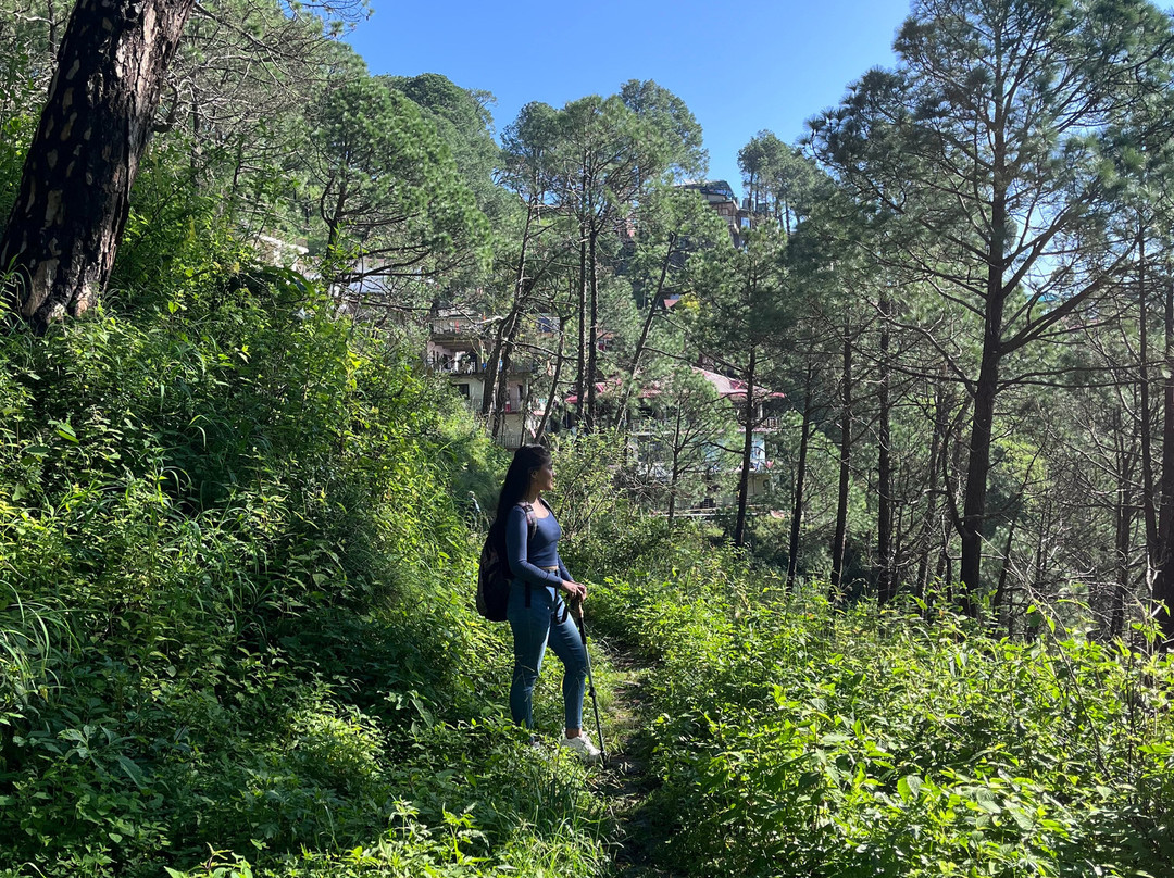 Kasauli Nature Walks With Vanita-Kasauli必去景点