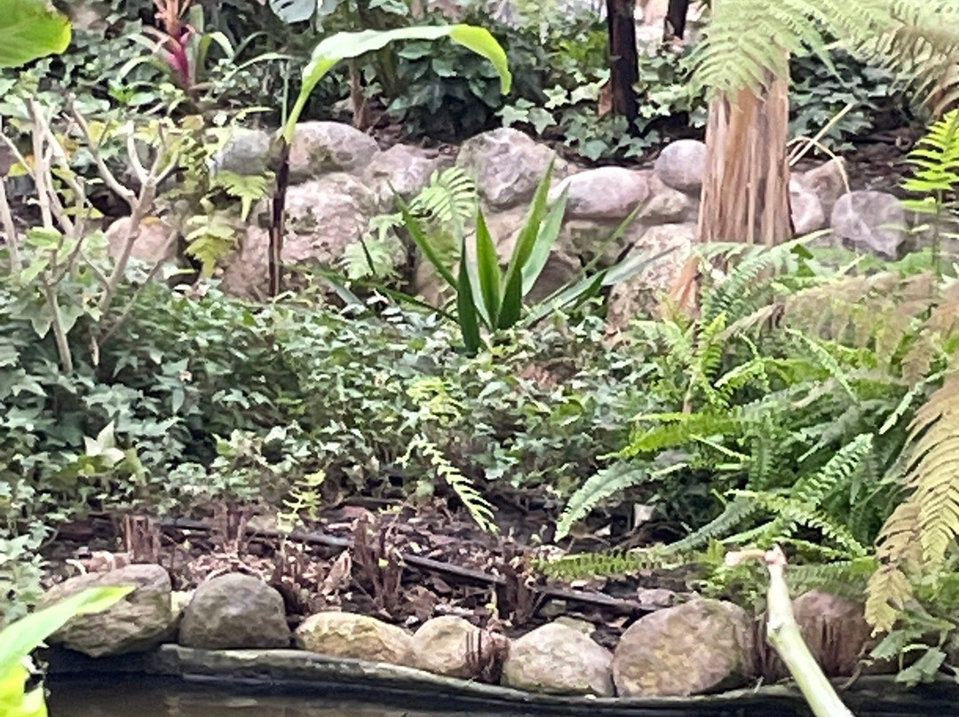 Schmetterlingspark Fehmarn-Burg auf Fehmarn必去景点