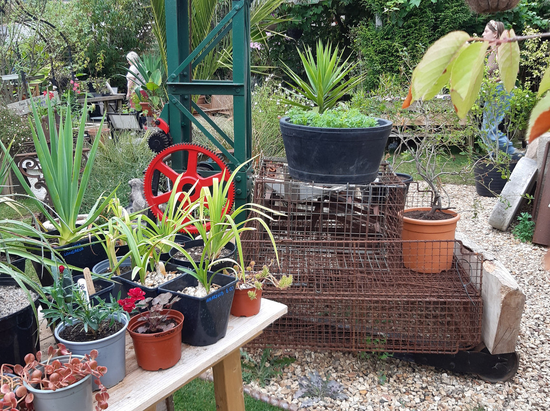 Muddy Patches-Abbotsbury必去景点