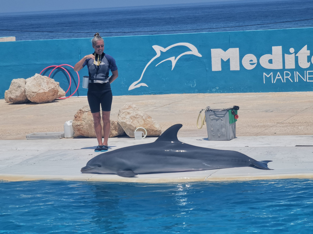 Mediterraneo Marine Park-Bahar ic-Caghaq必去景点