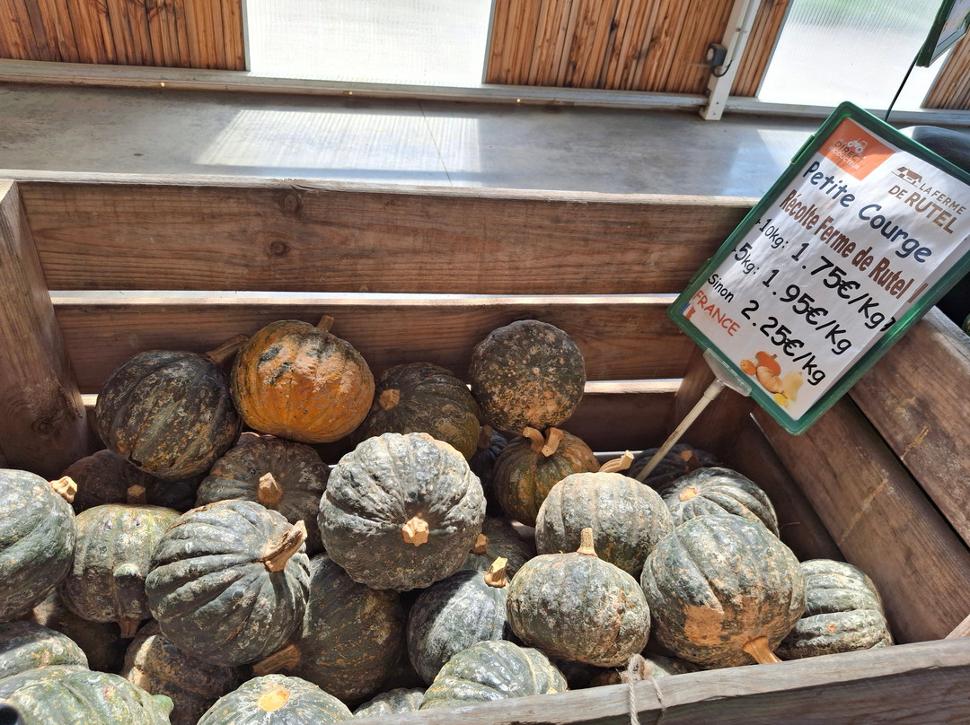 La Ferme de Rutel Cueillette-Villenoy必去景点