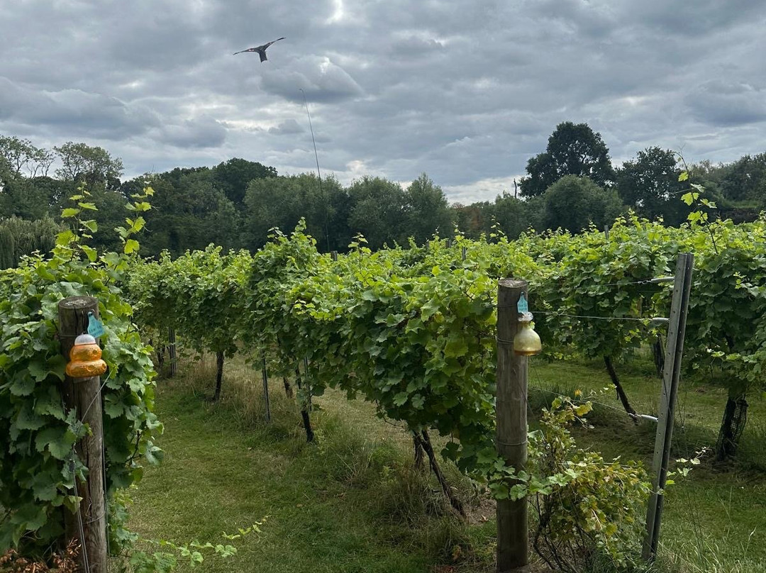 Rothley Wine Estate-Rothley必去景点