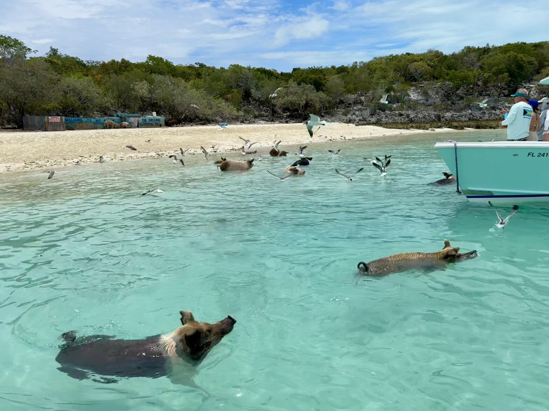 Sugar Adventure Company-day Boat Tours-大埃克苏马必去景点
