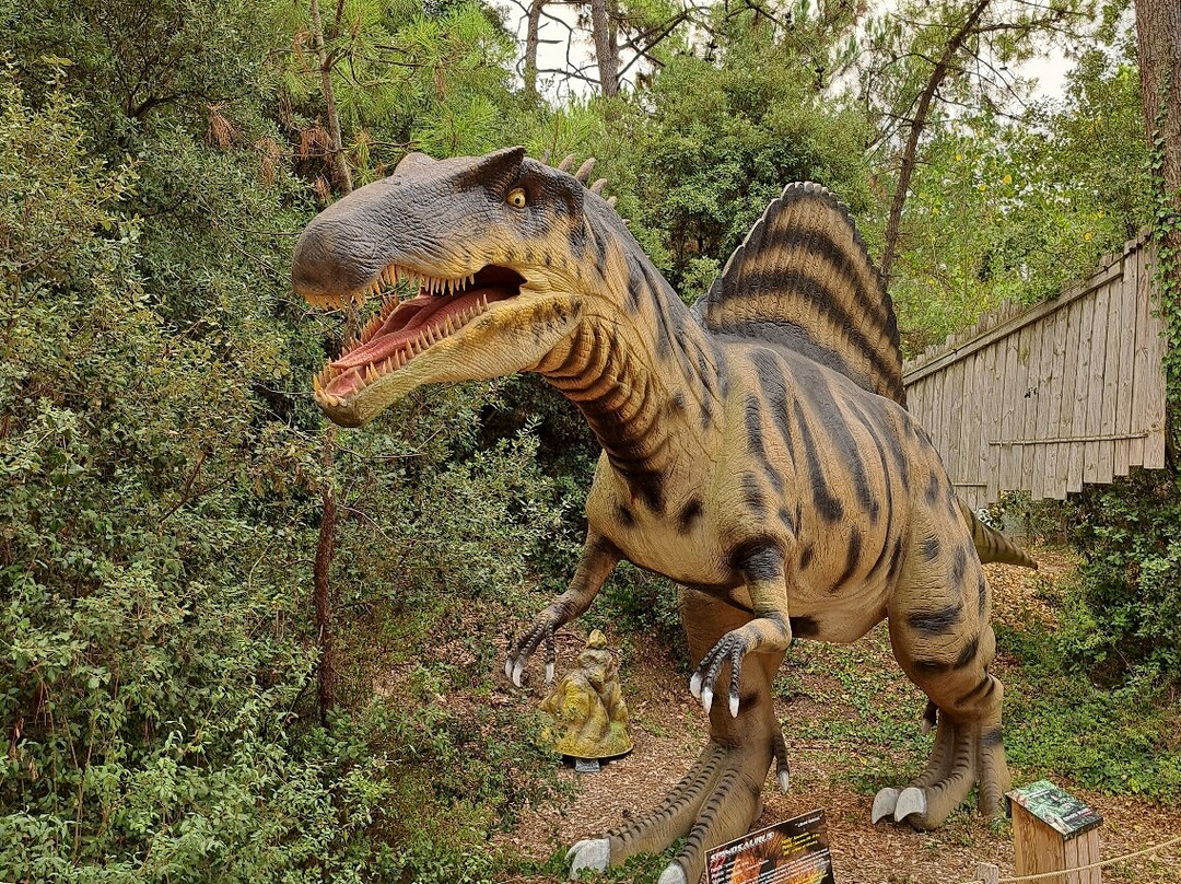 Dino's Park-Saint-Hilaire-de-Riez必去景点