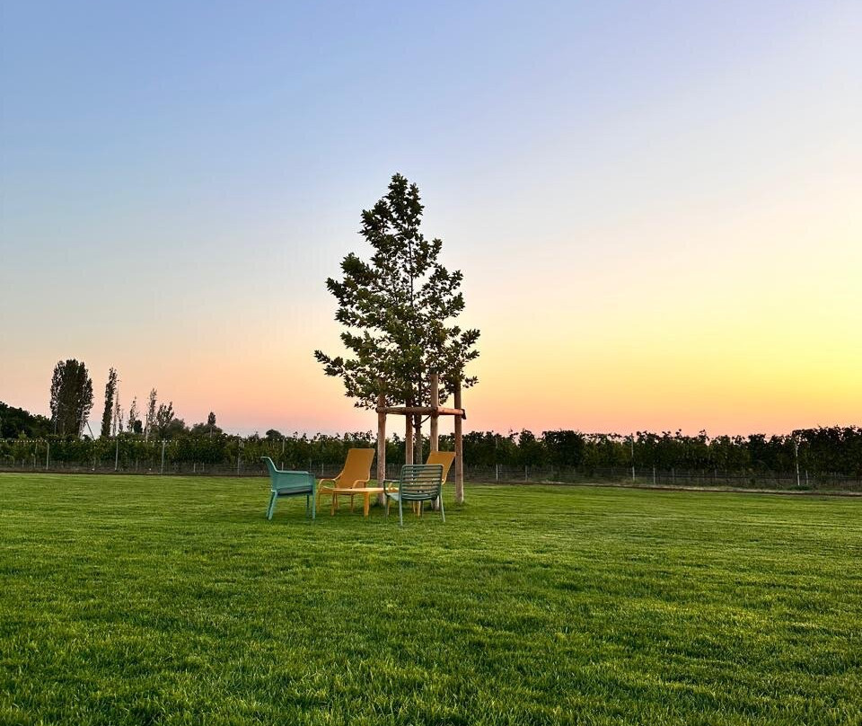 Aratashen Winery-Aratashen必去景点