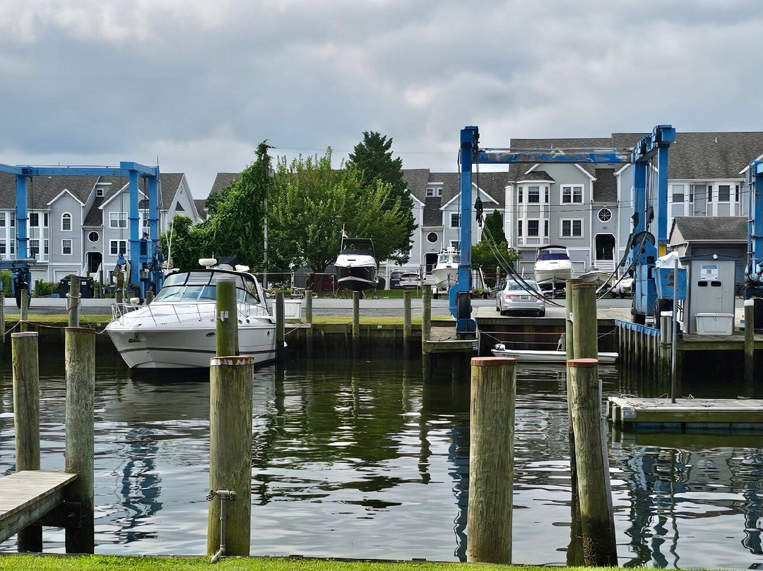 Tidewater Marina