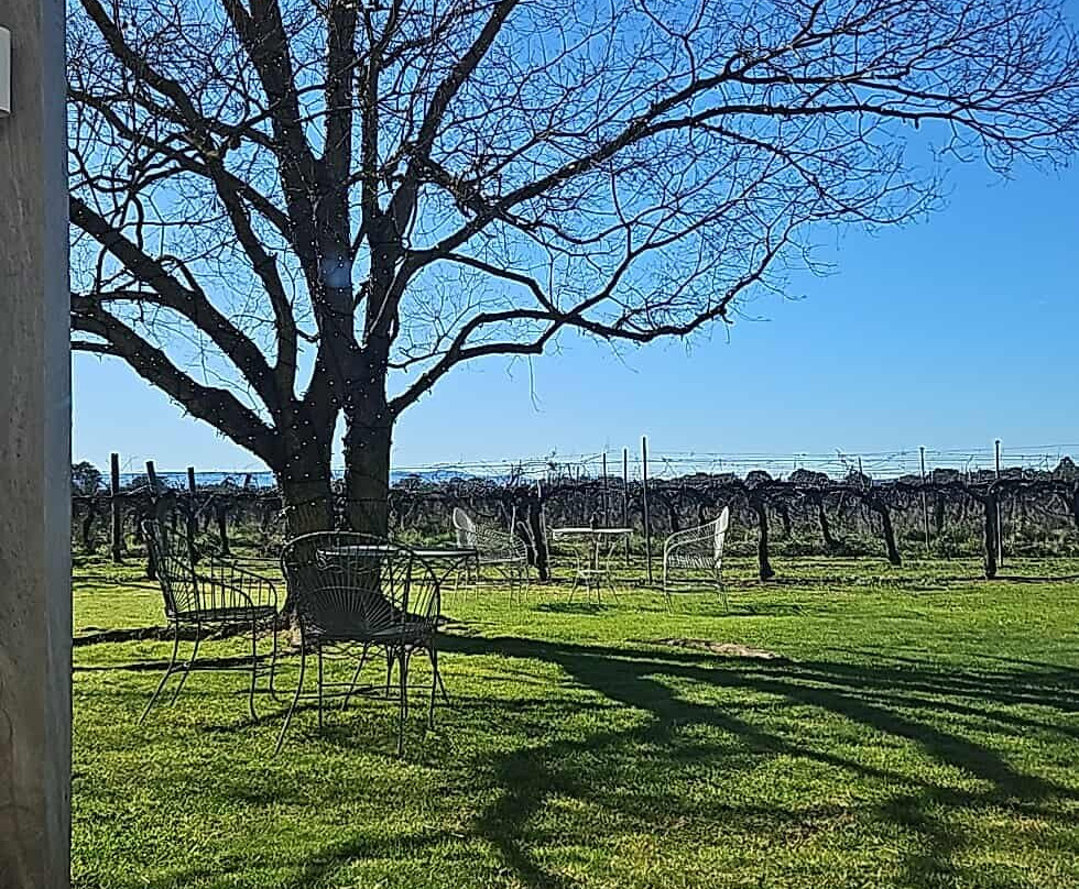 Lancemore Milawa主图