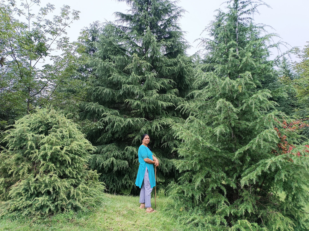 Sar Outdoors-阿姆利则必去景点