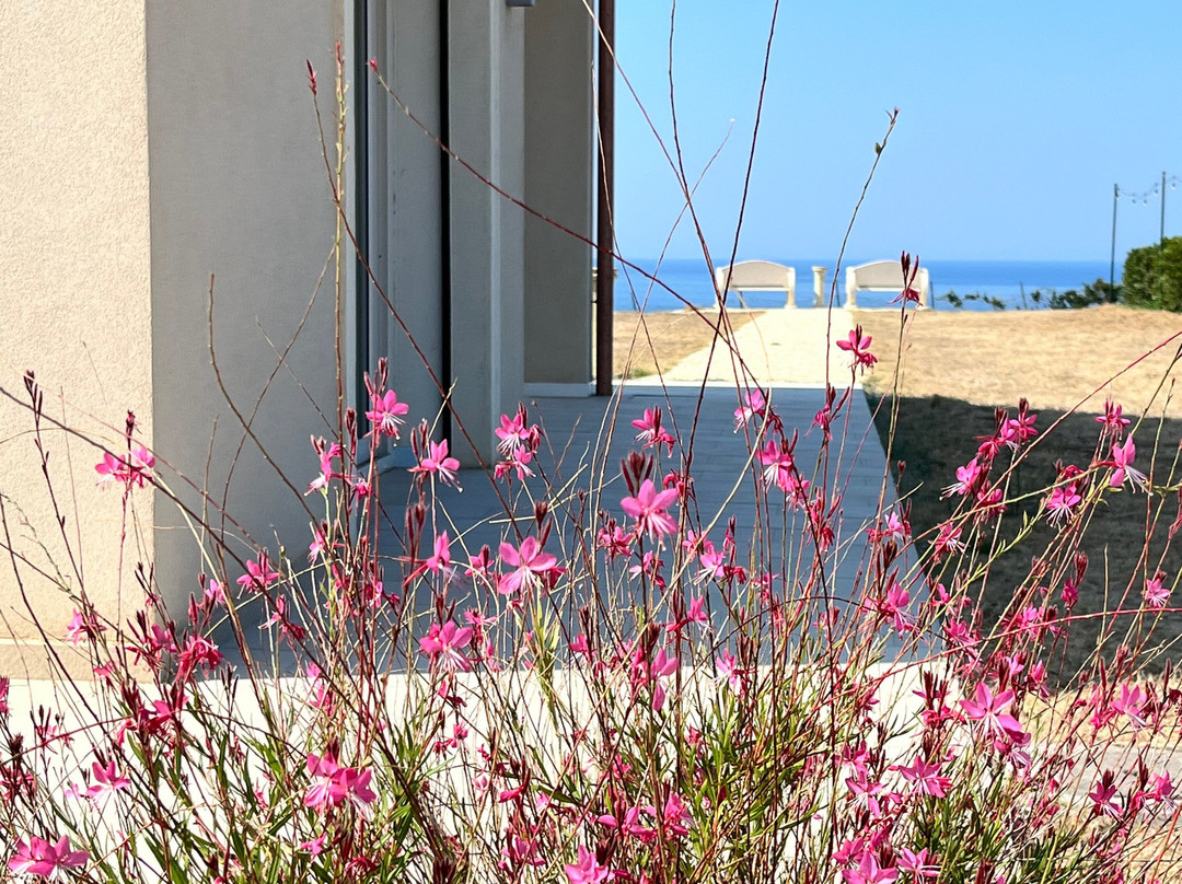 B&B L'Eden Di Capo Bianco主图