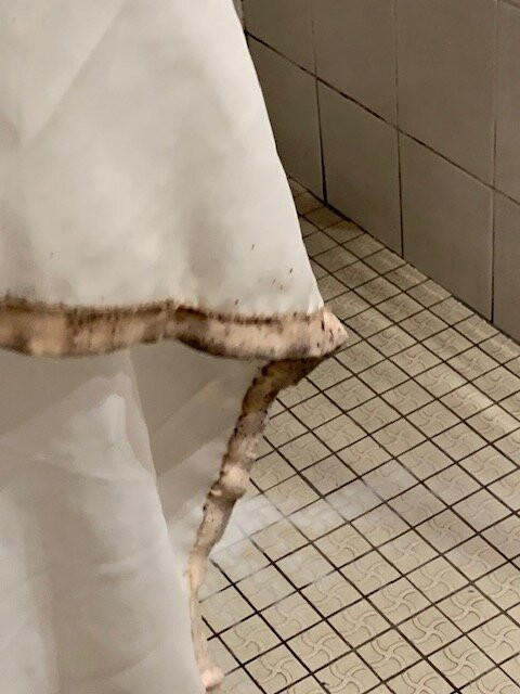 Hotel-Restaurant Le Relais du Canalou主图