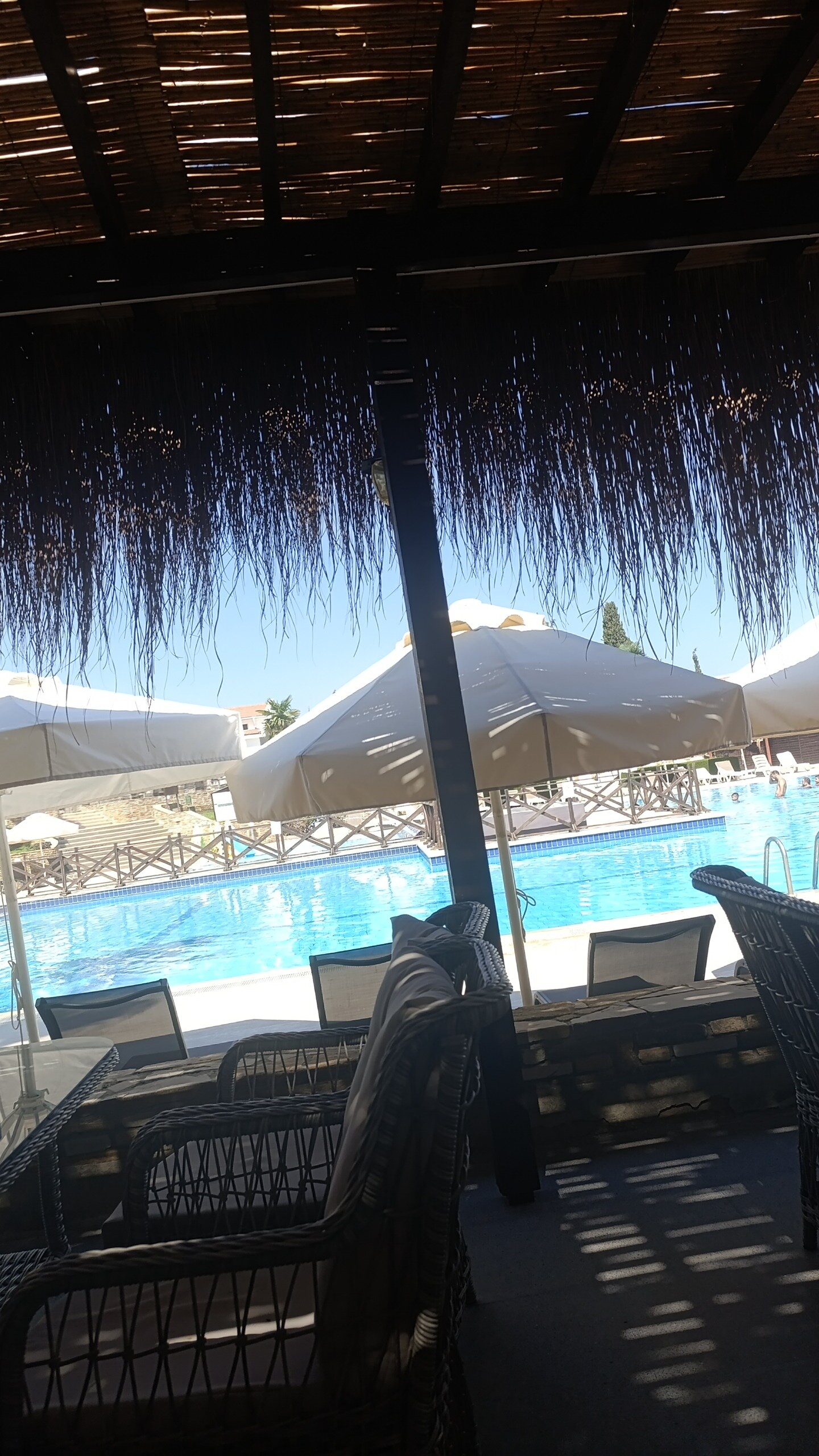 The Olive Tree Hotel-官方