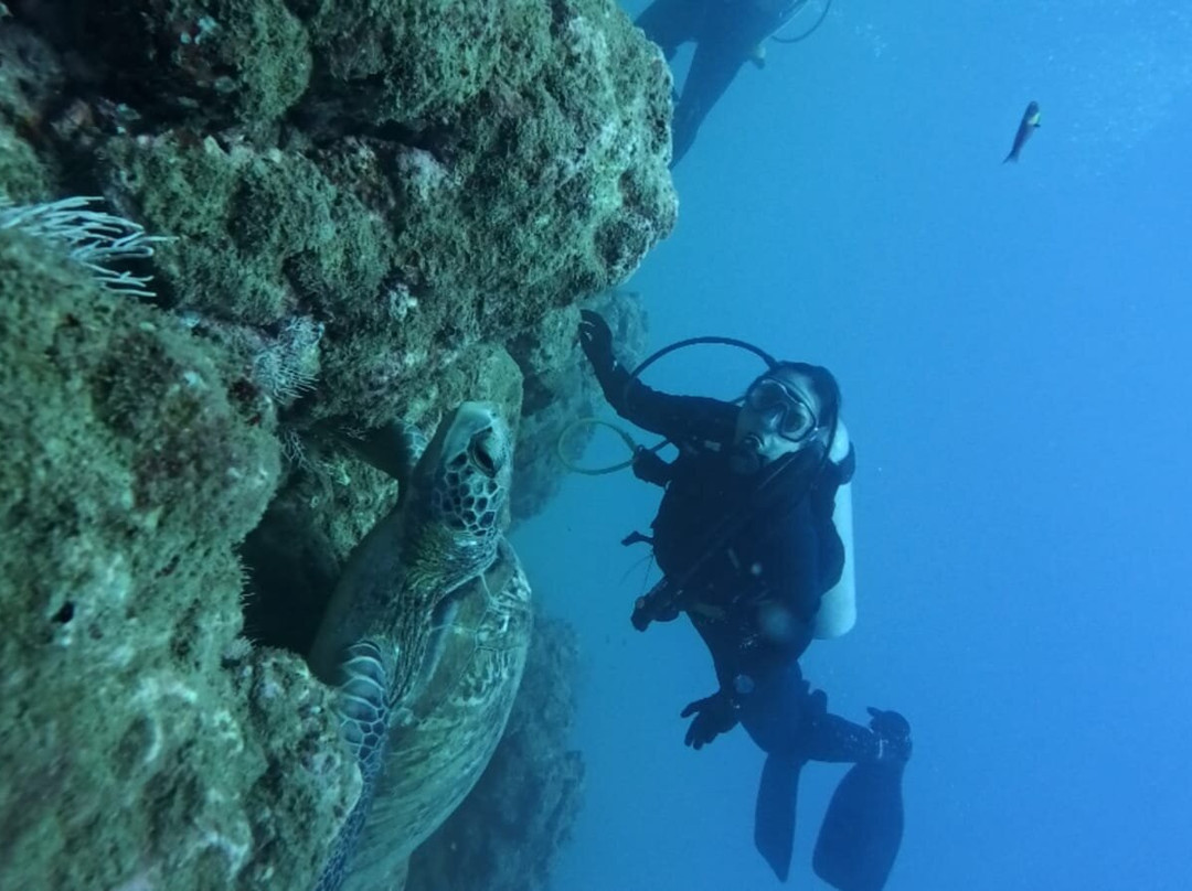 La Perla del Sur Adventures-Sierpe必去景点