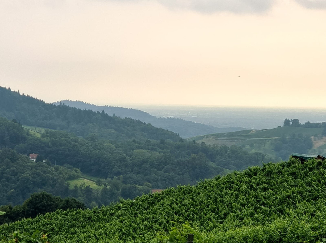 Alde Gott-Sasbachwalden必去景点