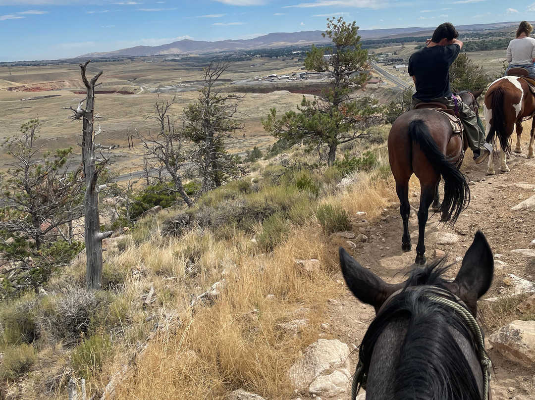 Cedar Mountain Trail Rides-科迪必去景点